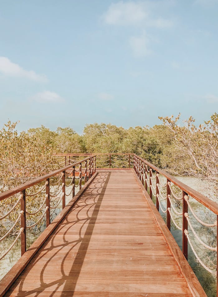 Wooden Jetty on River