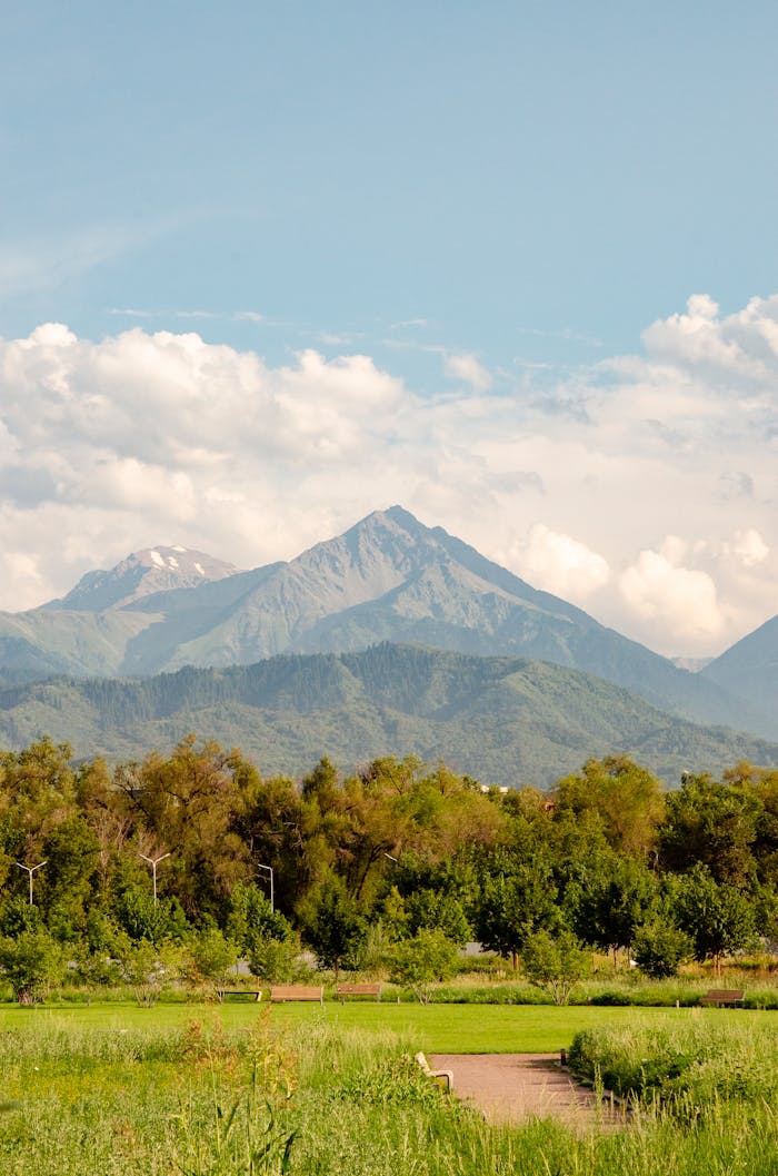 Breathtaking landscape of Almaty's mountains with lush greenery and clear skies, ideal for nature lovers.